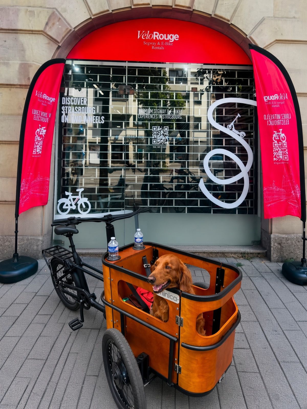 Red electric bikes lined up outside a bike rental shop in Strasbourg, with a tram and the cathedral spire behind